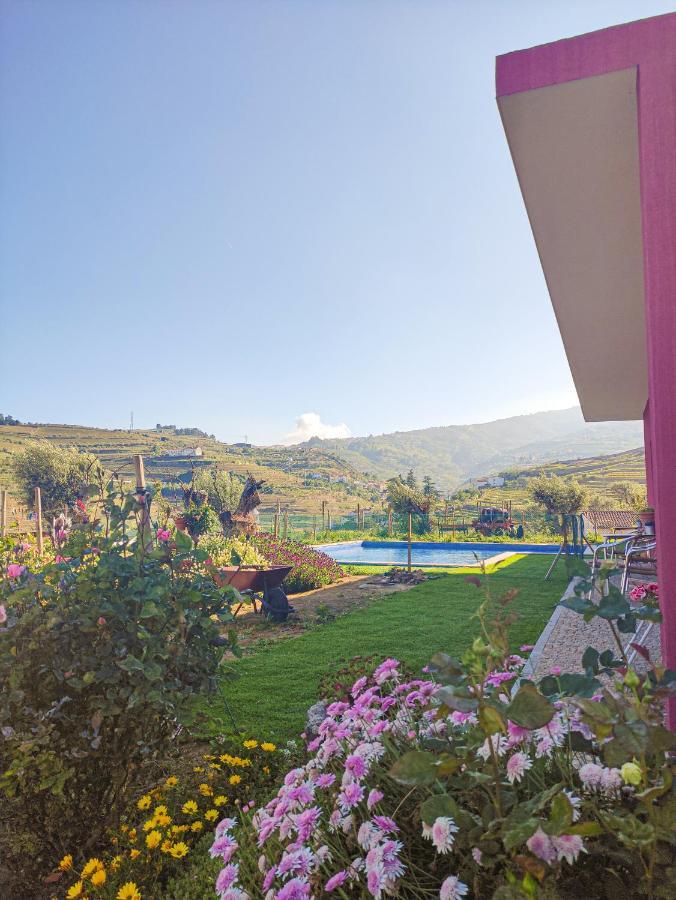 Quinta Dos Padrinhos - Suites In The Heart Of The Douro Lamego Bagian luar foto