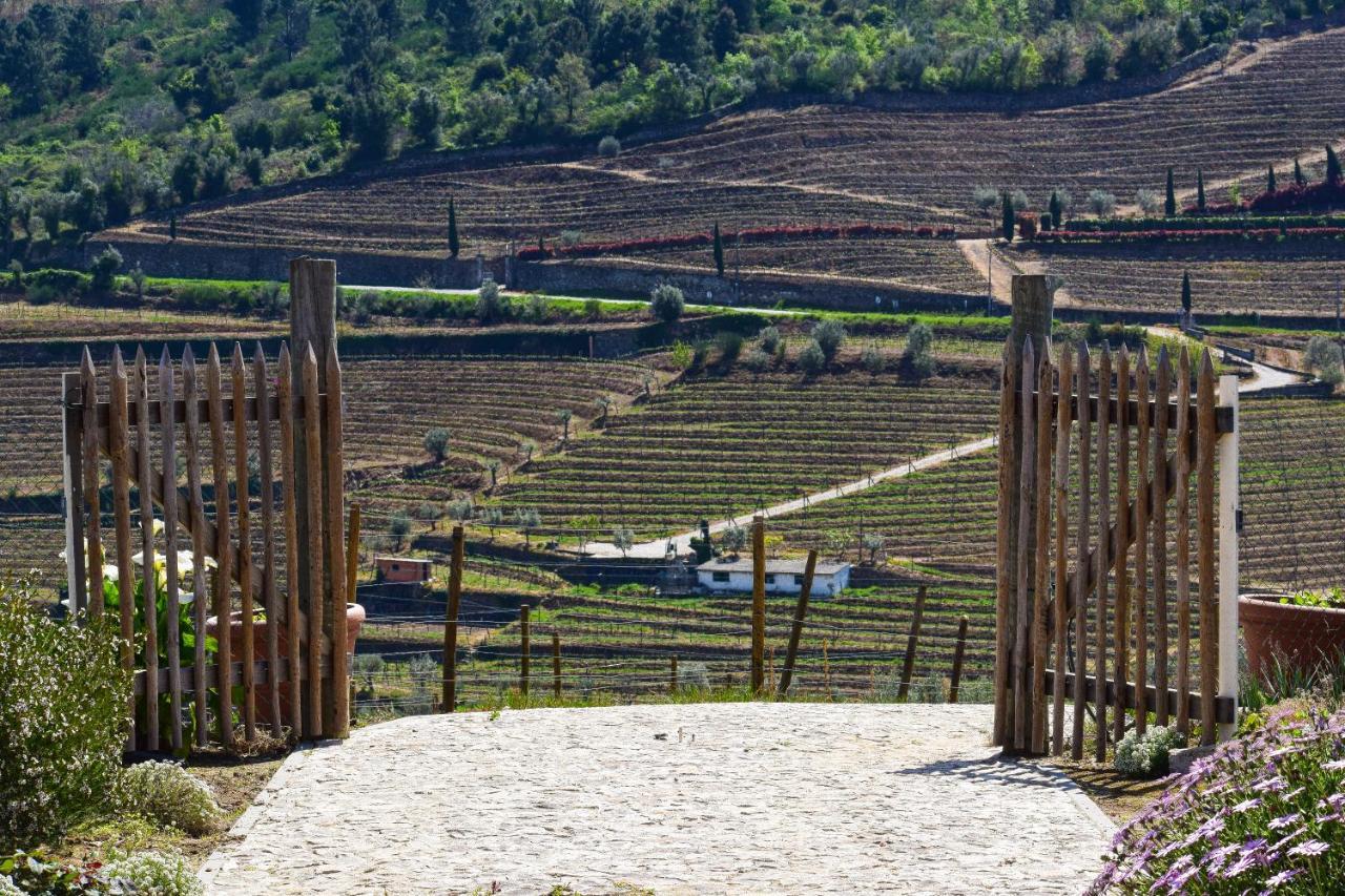 Quinta Dos Padrinhos - Suites In The Heart Of The Douro Lamego Bagian luar foto