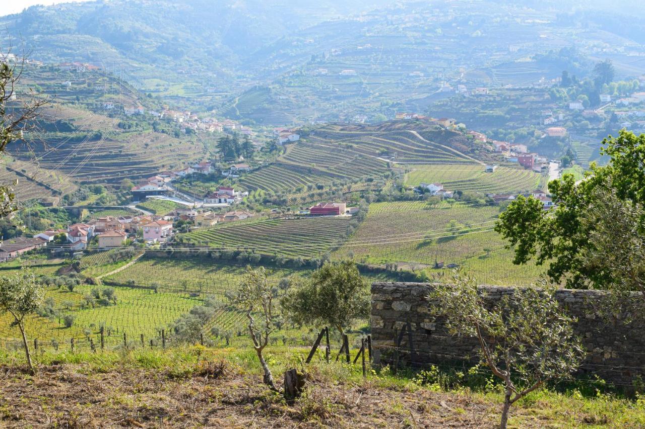 Quinta Dos Padrinhos - Suites In The Heart Of The Douro Lamego Bagian luar foto