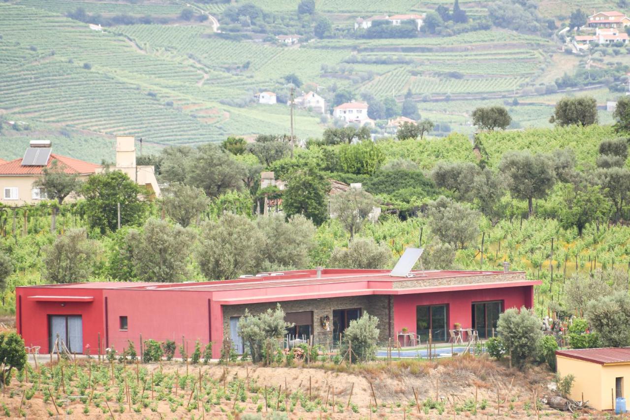 Quinta Dos Padrinhos - Suites In The Heart Of The Douro Lamego Bagian luar foto