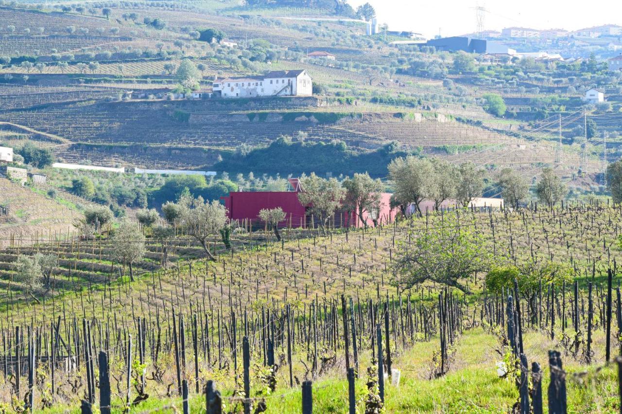Quinta Dos Padrinhos - Suites In The Heart Of The Douro Lamego Bagian luar foto
