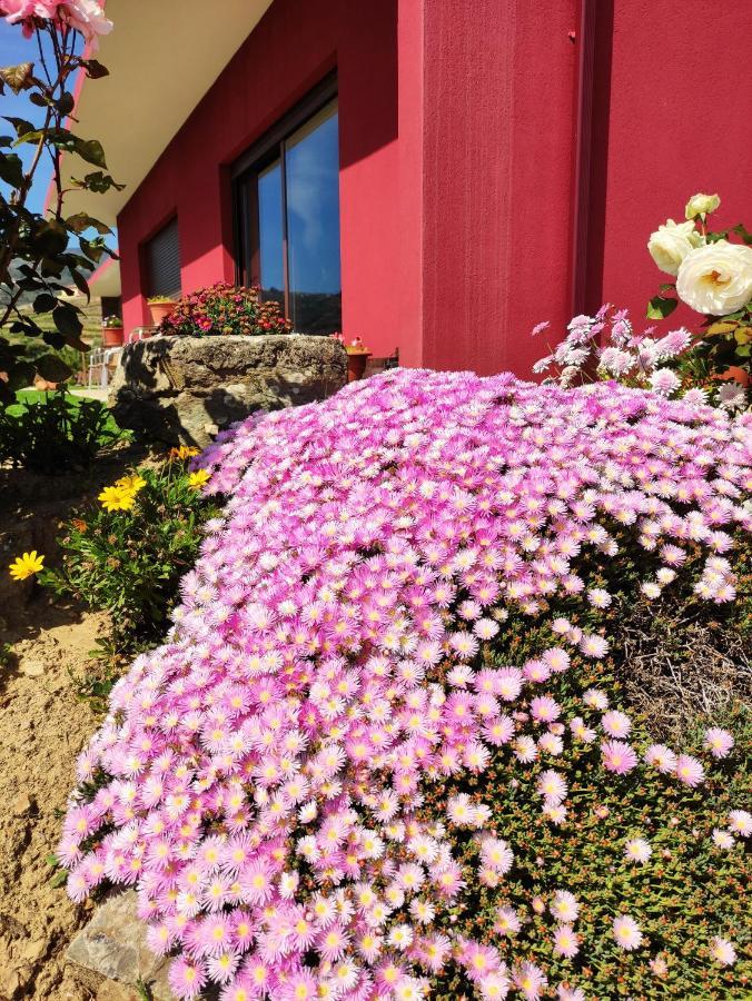 Quinta Dos Padrinhos - Suites In The Heart Of The Douro Lamego Bagian luar foto