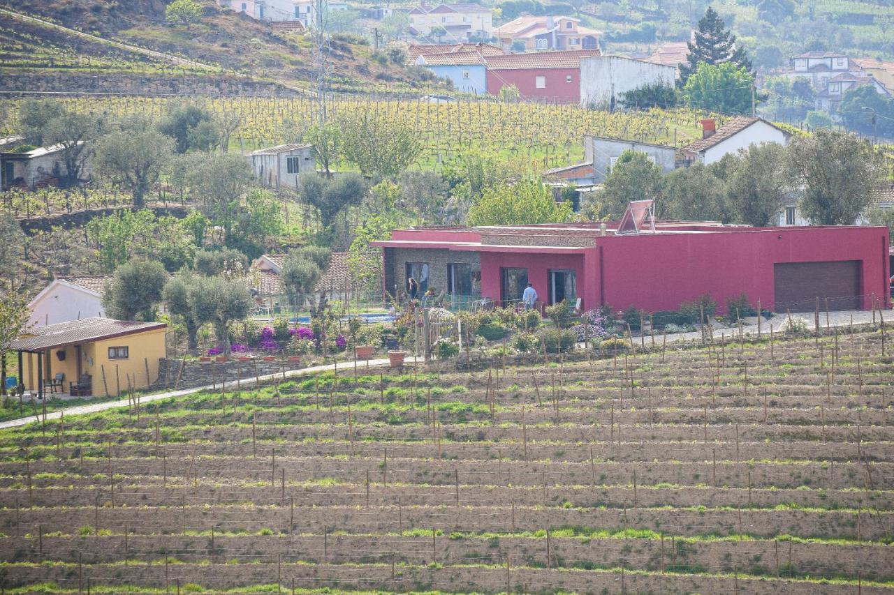 Quinta Dos Padrinhos - Suites In The Heart Of The Douro Lamego Bagian luar foto