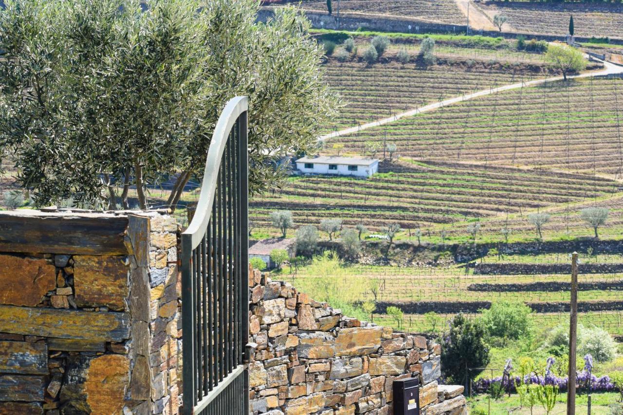 Quinta Dos Padrinhos - Suites In The Heart Of The Douro Lamego Bagian luar foto