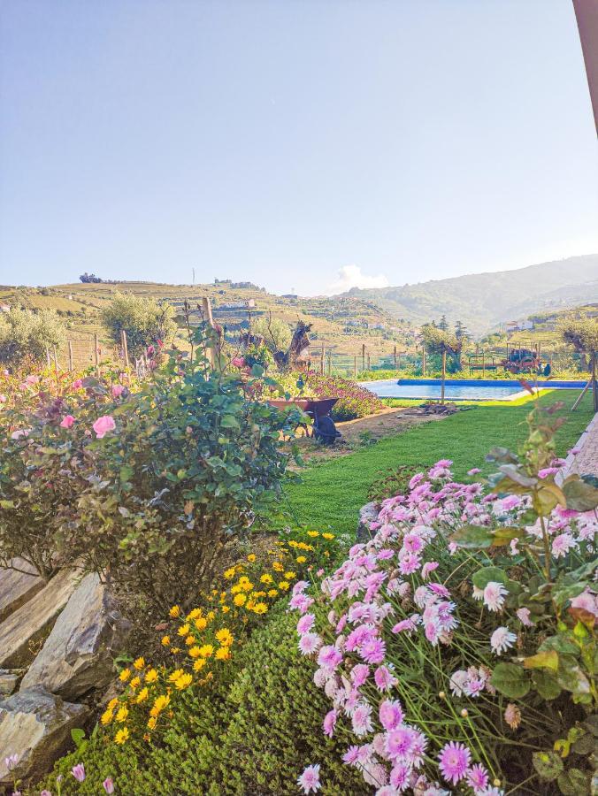Quinta Dos Padrinhos - Suites In The Heart Of The Douro Lamego Bagian luar foto