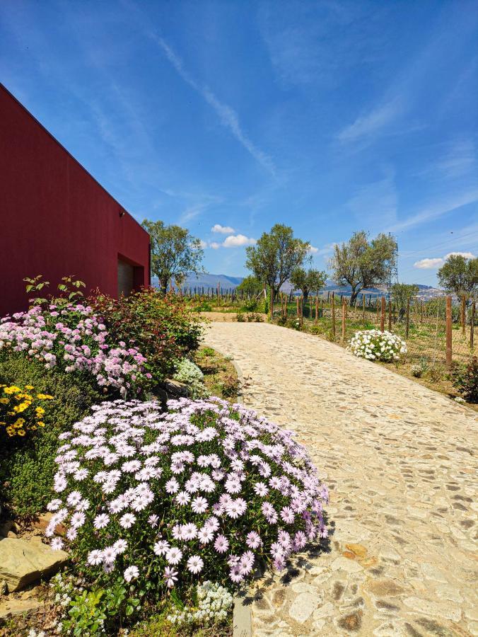 Quinta Dos Padrinhos - Suites In The Heart Of The Douro Lamego Bagian luar foto