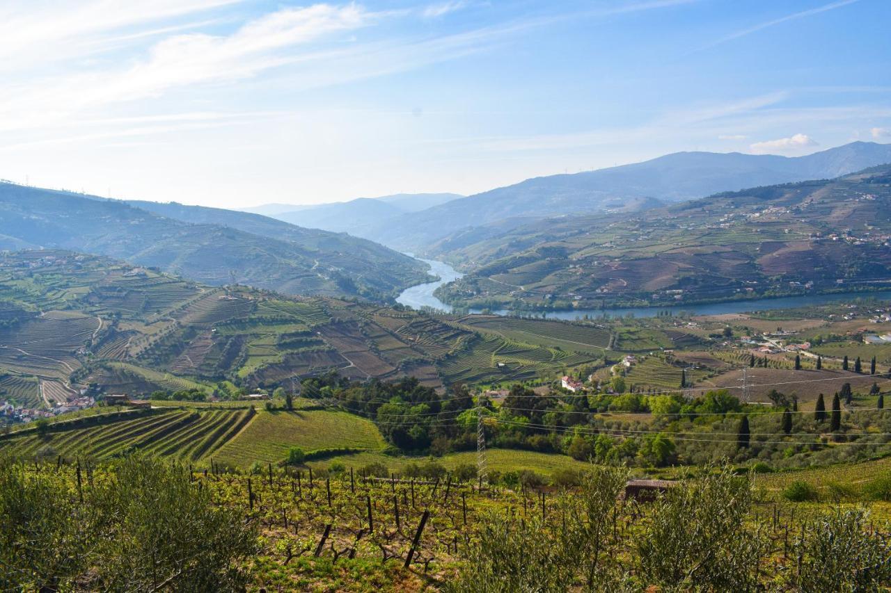 Quinta Dos Padrinhos - Suites In The Heart Of The Douro Lamego Bagian luar foto