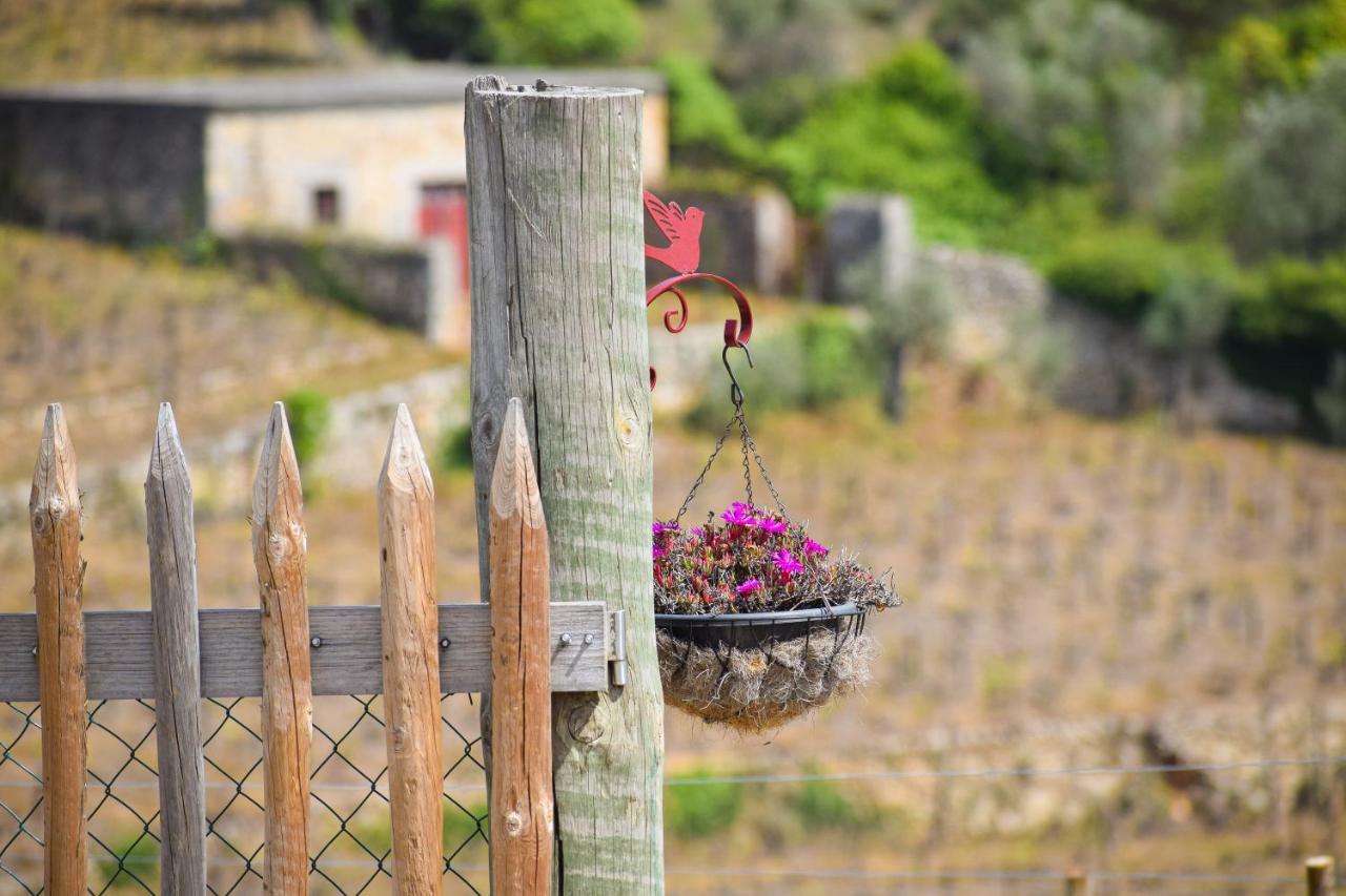 Quinta Dos Padrinhos - Suites In The Heart Of The Douro Lamego Bagian luar foto