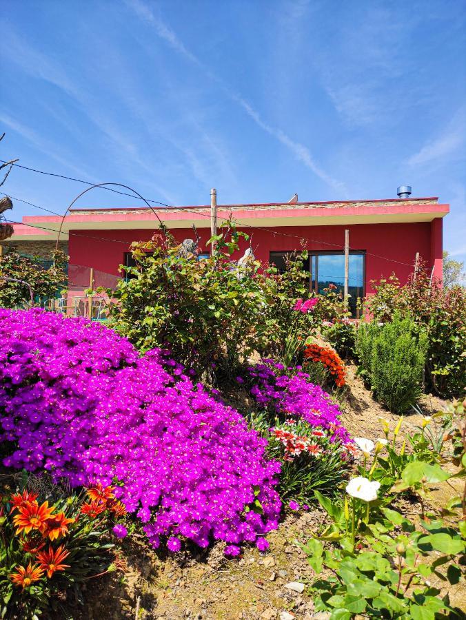 Quinta Dos Padrinhos - Suites In The Heart Of The Douro Lamego Bagian luar foto