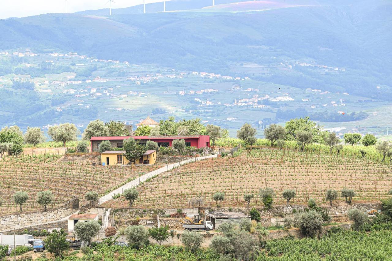 Quinta Dos Padrinhos - Suites In The Heart Of The Douro Lamego Bagian luar foto