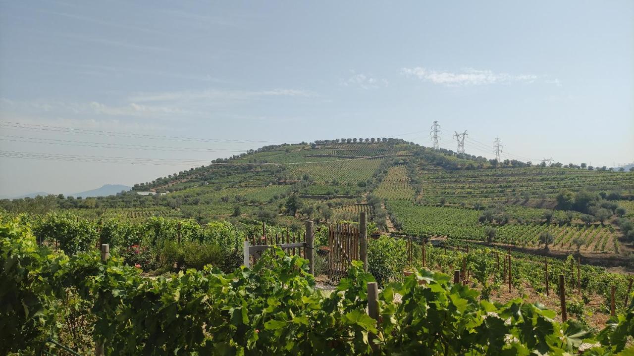 Quinta Dos Padrinhos - Suites In The Heart Of The Douro Lamego Bagian luar foto