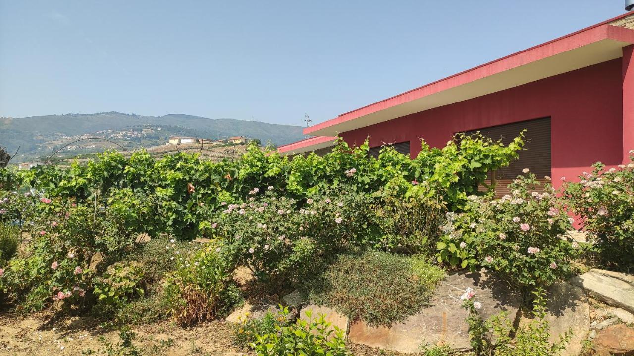 Quinta Dos Padrinhos - Suites In The Heart Of The Douro Lamego Bagian luar foto
