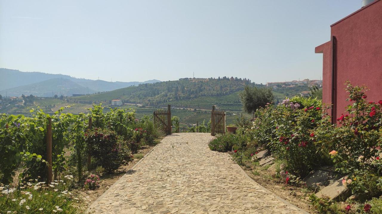 Quinta Dos Padrinhos - Suites In The Heart Of The Douro Lamego Bagian luar foto