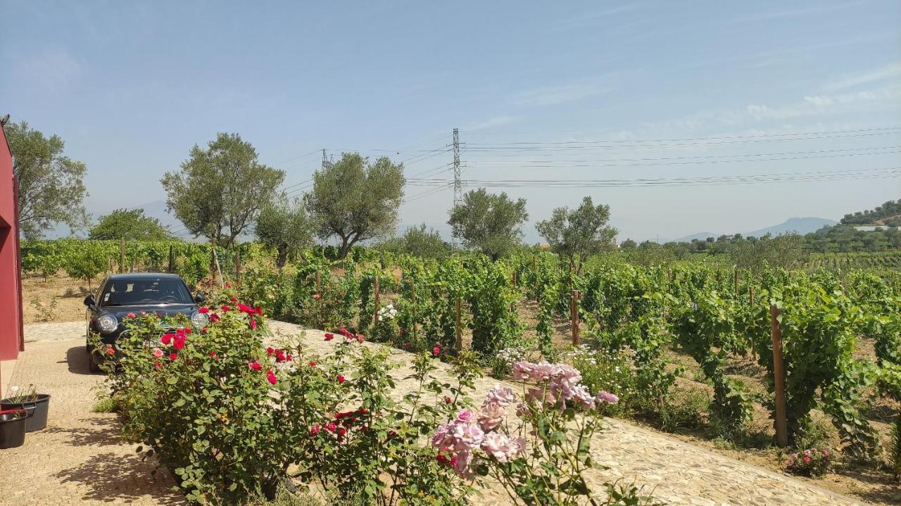 Quinta Dos Padrinhos - Suites In The Heart Of The Douro Lamego Bagian luar foto