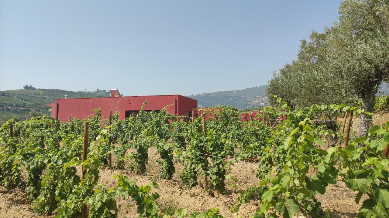Quinta Dos Padrinhos - Suites In The Heart Of The Douro Lamego Bagian luar foto