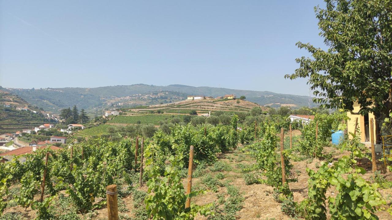 Quinta Dos Padrinhos - Suites In The Heart Of The Douro Lamego Bagian luar foto
