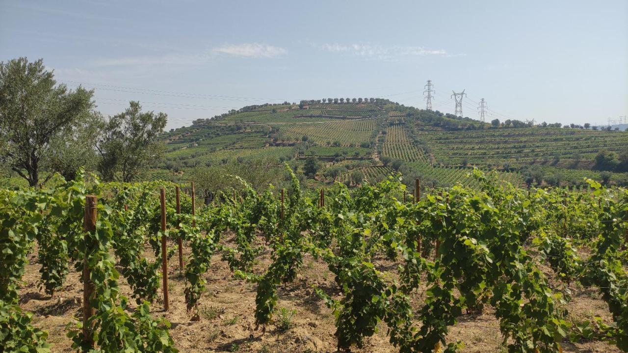 Quinta Dos Padrinhos - Suites In The Heart Of The Douro Lamego Bagian luar foto