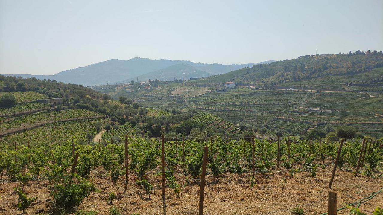 Quinta Dos Padrinhos - Suites In The Heart Of The Douro Lamego Bagian luar foto