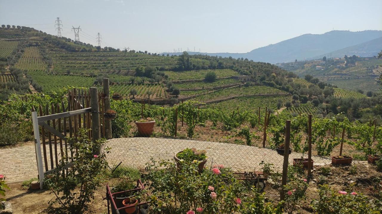 Quinta Dos Padrinhos - Suites In The Heart Of The Douro Lamego Bagian luar foto