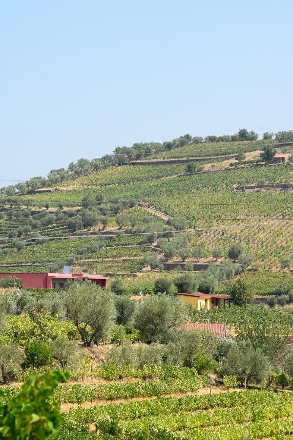 Quinta Dos Padrinhos - Suites In The Heart Of The Douro Lamego Bagian luar foto